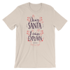 Dear Santa, I can Explain T-Shirt
