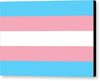 Transgender Flag - Canvas Print