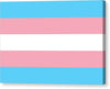 Transgender Flag - Canvas Print