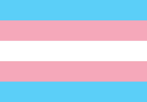 Transgender Flag - Art Print