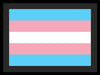 Transgender Flag - Framed Print