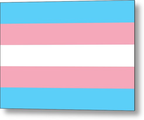 Transgender Flag - Metal Print