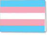 Transgender Flag - Greeting Card